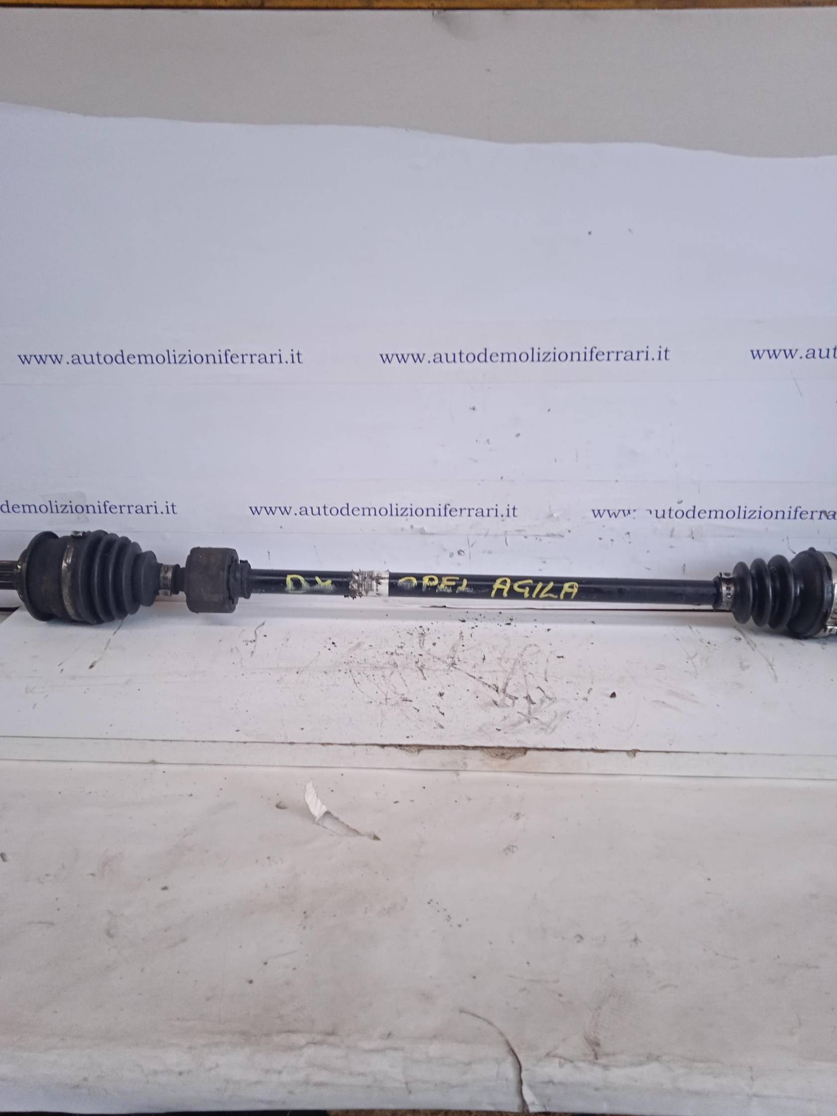 Semialbero ant. compl. dx.